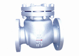 Day standard swing check valve